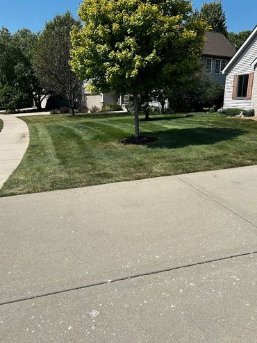 First official client!