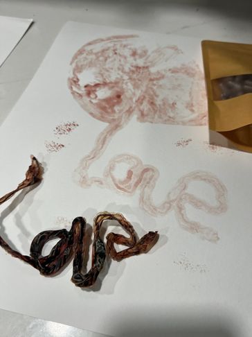 A placenta print with Love in the cord and cord keepsake with a bag of finished capsules