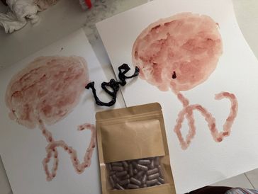 2 placenta prints with a love cord keepsake and a bag of finished capsules