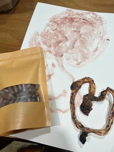 A placenta print, a cord keepsake shaped into a heart , and finished dehydrated placenta capsules