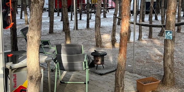 Outdoor seating area with chairs, planters, and trees in a shaded forest setting.