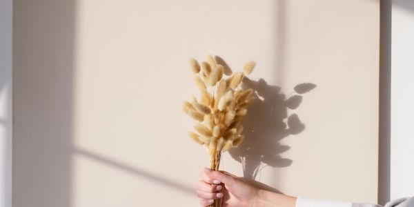 手握干花束,阳光洒落墙面。
