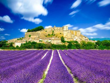 Provence village d'Aurel lavender fields