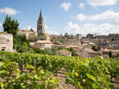 Saint Emilion vineyard, Bordeaux, Medieval France, wine tours