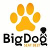 Big Dog Paw print 
Big Dog Seat Belt Logo