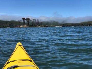 Kayaking by Hog Island on Tomales Bay, Point Reyes.