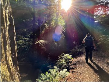 Backpacking through the redwoods on one of our backpacking tours.