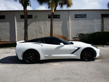 Wrap & Tint Makeover