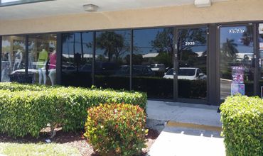 Wrap & Tint Makeover