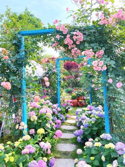 A vibrant garden path framed by blue arches and blooming flowers.