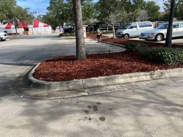 Parking lot with tree islands and a person walking away near parked cars.