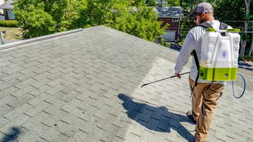 Man spraying chemicals on a roof for cleaning or pest control.