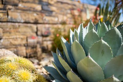 Home Painting
Professional