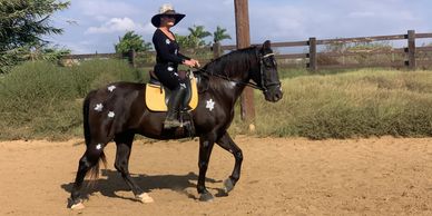Imagination is the limit! It’s a fun way for everyone to participate with owned or leased horses in