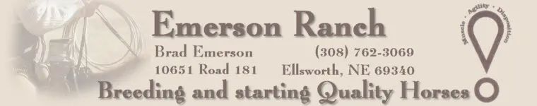 Emerson Ranch
Brad Emerson          (308) 762-3069
10651 Road 181
Ellsworth, NE 69340
