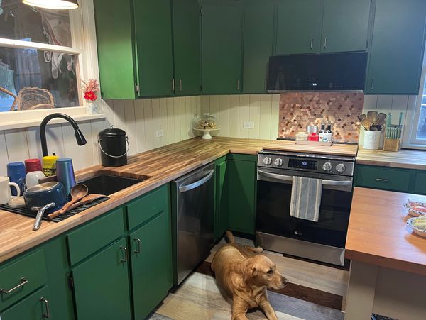 Cozy kitchen with green cabinets and a dog resting on the floor.
