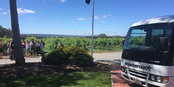 A tour group of people overlooking grape vines at Pertaringa Winery - McLaren Vale