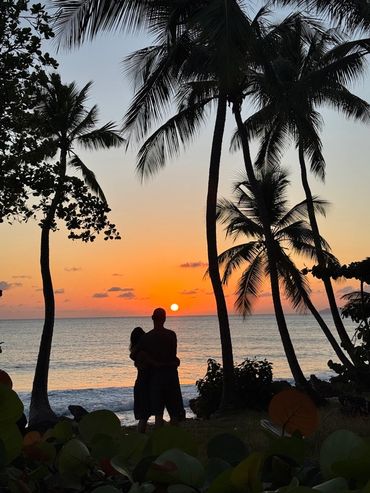 Couple embraces at sunset by the ocean under palm trees.