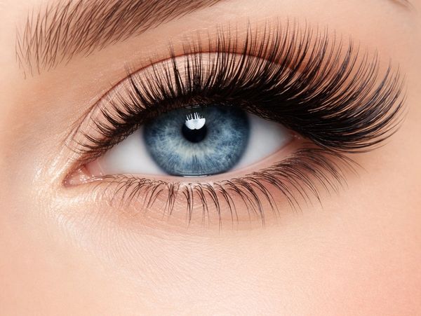 Close-up of a blue eye with long, thick eyelashes and well-groomed eyebrows.