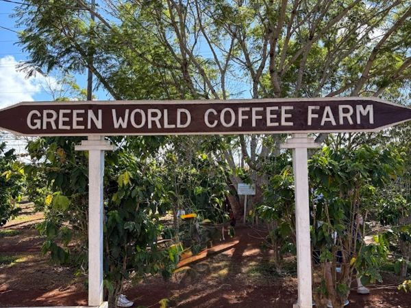 Entrance sign to Green World Coffee Farm surrounded by trees and plants.