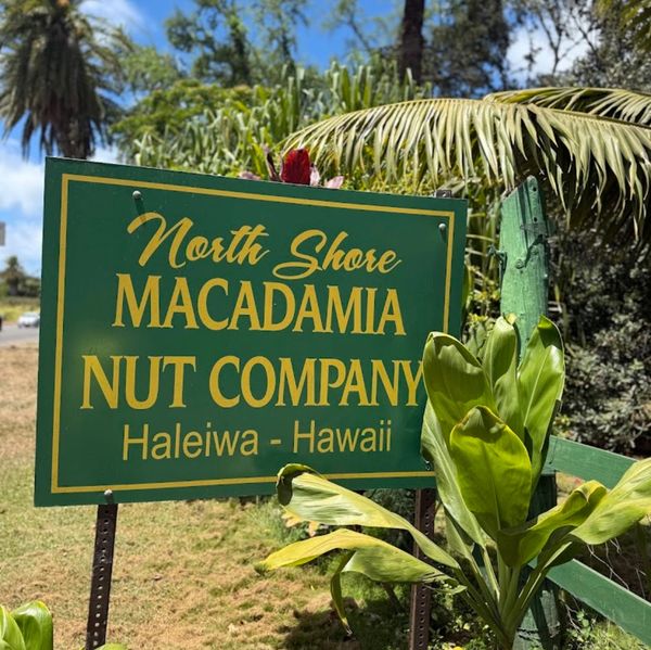 Sign for North Shore Macadamia Nut Company in Haleiwa, Hawaii.