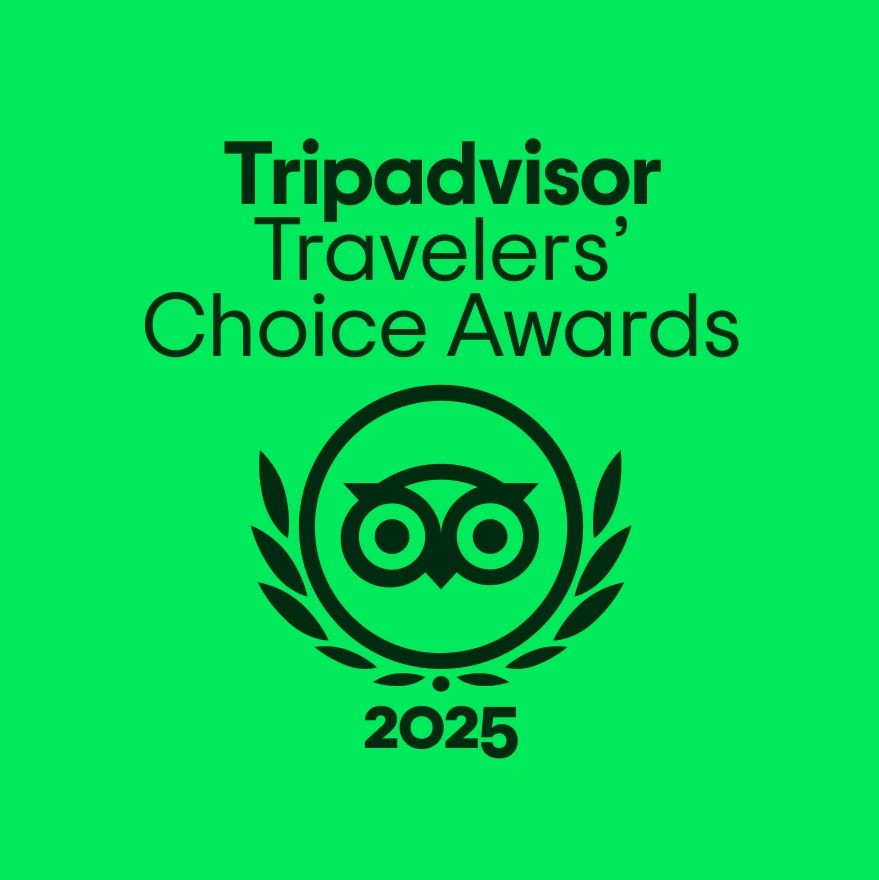 Tripadvisor Travelers' Choice Awards 2025 logo on green background.