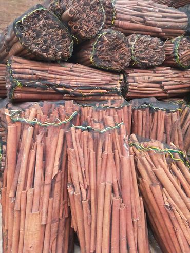 Bundles of cinnamon sticks wrapped in netting and tied with string.