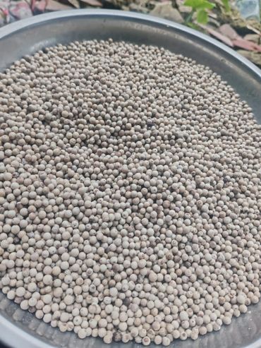 A metal tray filled with white peppercorns.