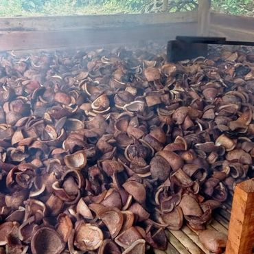 A large pile of drying areca nuts inside a wooden structure.