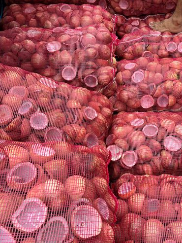 Stacks of red onions packed in red mesh bags with a person's foot on top.