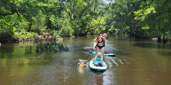 Two people paddleboarding on a calm river surrounded by lush green trees.