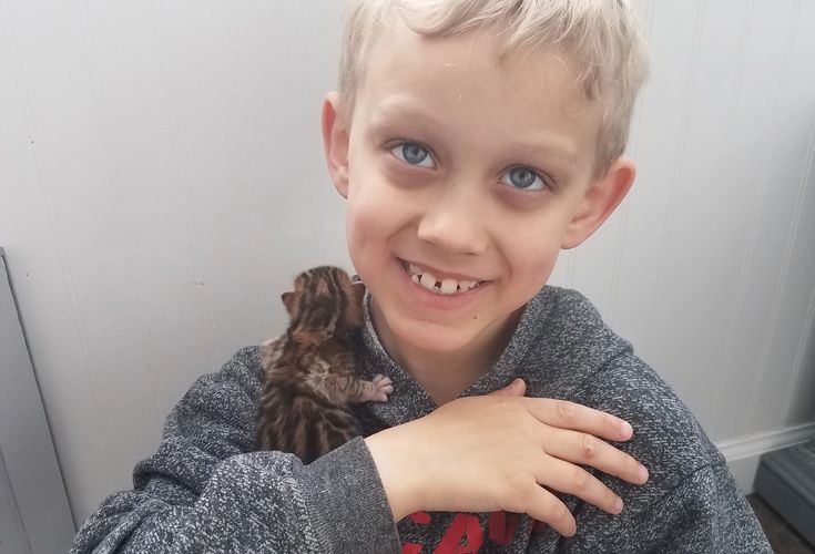 Our grandson Avery does a great job socializing our kittens.
