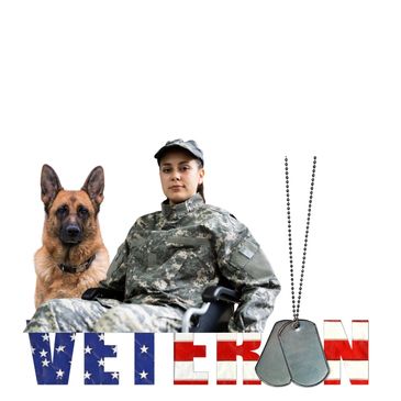 Veteran in wheelchair with a shepherd service dog