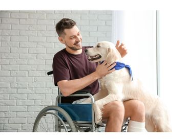 Person in wheelchair with service dog