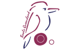 Logo of Bowls Queensland. An outline of a maroon kookaburra.