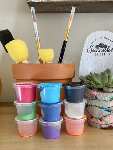 Stacks of colorful paint pots in front of paintbrushes and a succulent plant.