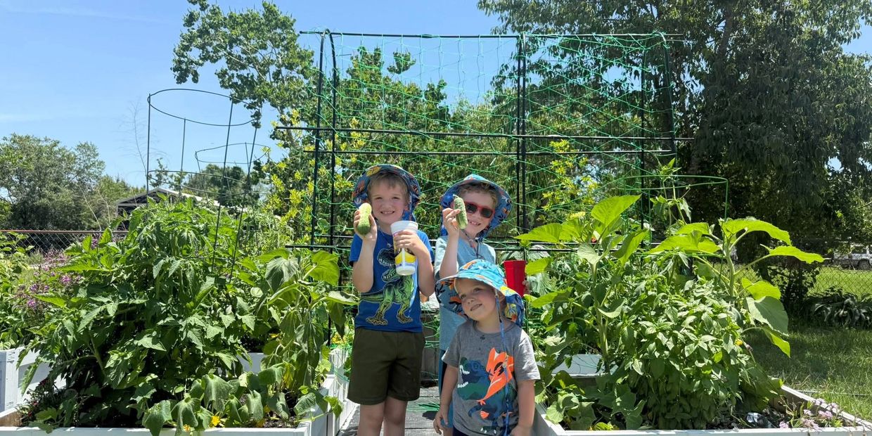 Three children in sun hats holding cucumbers in a garden on a sunny day.