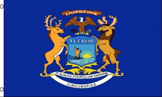 federal michigan best appellate appeal attorney lawyer affordable criminal divorce custody