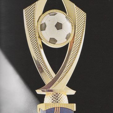 Gold look and timber football sports trophy 