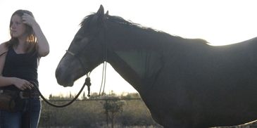 A woman holding a black horse by the reins.