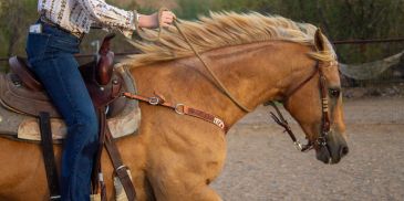 Rider on a galloping horse.