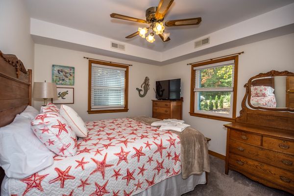 Downstairs Queen Bed.