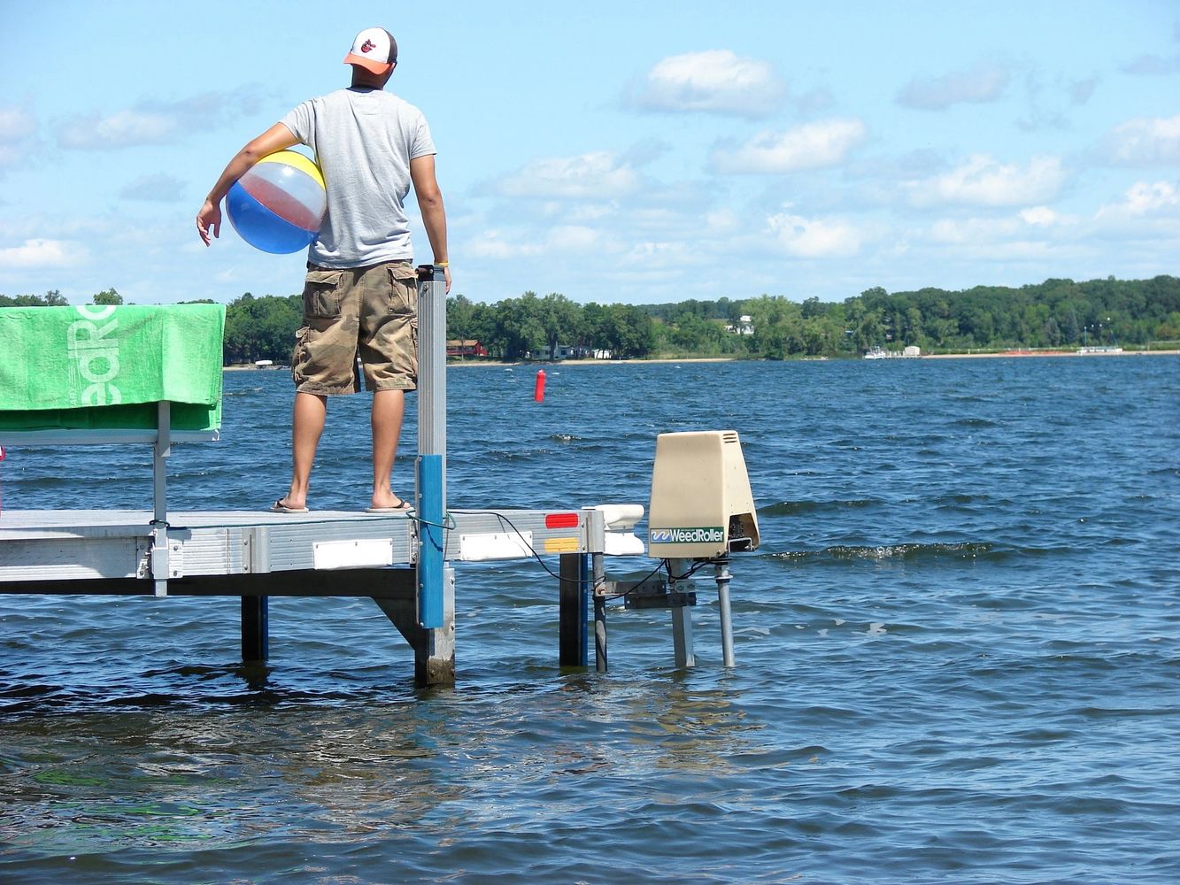 Lake weed Roller