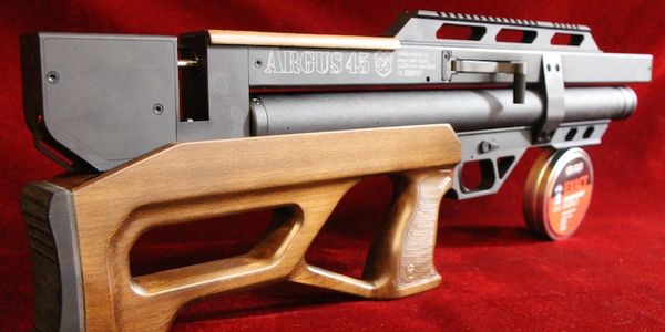 22 Argus 45 back to front view image