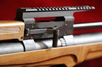 Cricket II 22 Long end of stock forward