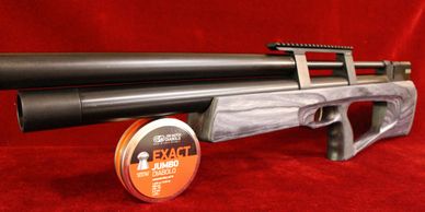 Taipan Veteran Long .22 Caliber