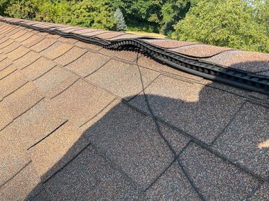 ridge vent on a house with an opening bats can easily get into
