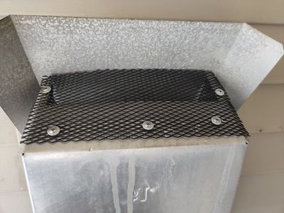 fireplace vent protected from birds