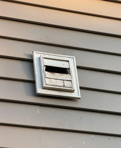 dryer vent showing signs of birds inside