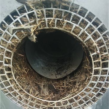 bird nest in gas fireplace vent can cause backflow of carbon monoxide into the living area of a home